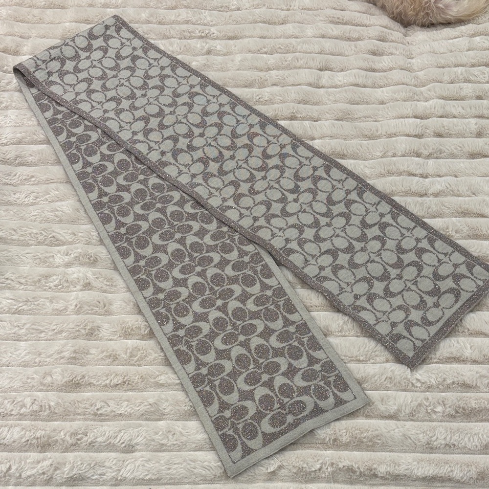 Coach Reversible Metallic Gray and Brown Scarf